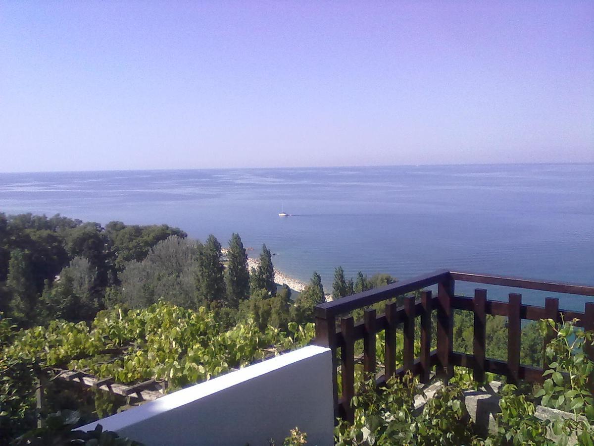 Pelion Orama Apartamento Agios Ioannis  Exterior foto