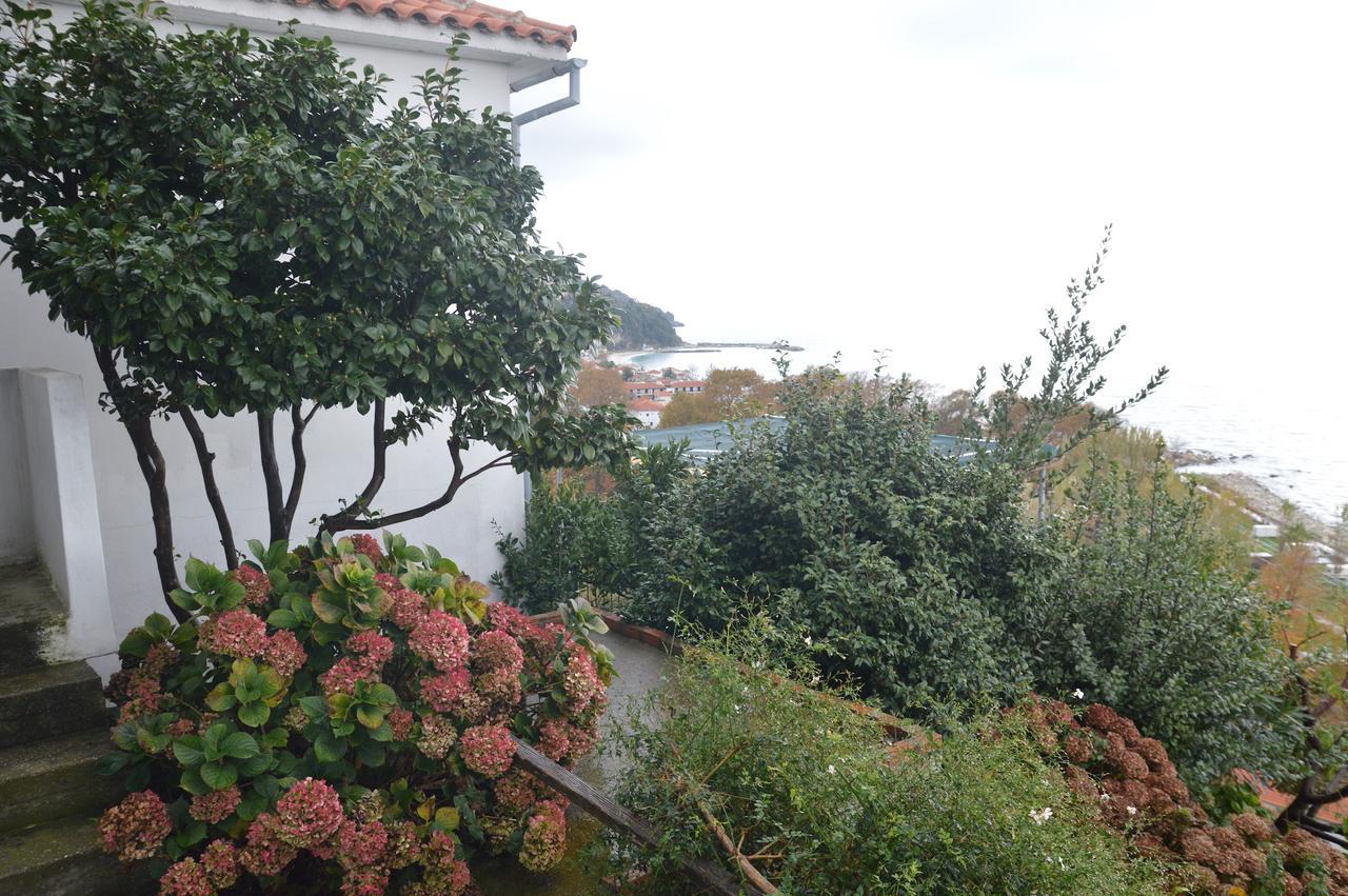 Pelion Orama Apartamento Agios Ioannis  Exterior foto